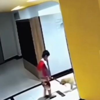 Viral Seorang Ayah Dipukul Saat Lindungi Anak dari Anjing