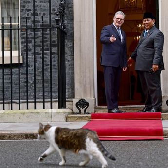Larry the Cat Beraksi, Prabowo dan PM Inggris Auto Senyum di 10 Downing Street