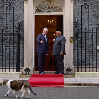 Kembali ke Downing Street, Prabowo "Disambut" Larry the Cat