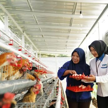 PNM Perkuat Ketahanan Pangan Lewat Rumah Pangan dan Pekarangan Bergizi