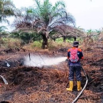 BPBD Catat, Kebakaran Lahan di Aceh Barat Meluas Jadi 58,7 Hektare