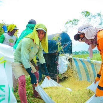 BPS: Produksi Beras 2025 Capai 34,69 Juta Ton, Naik 13,29 Persen