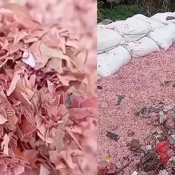 Viral Temuan Cacahan Uang di TPS Liar Bekasi, DLH Selidiki Asal-usulnya