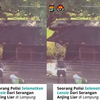 VIDEO: Polisi Seorang Diri Selamatkan Lansia dari Serangan Anjing Liar