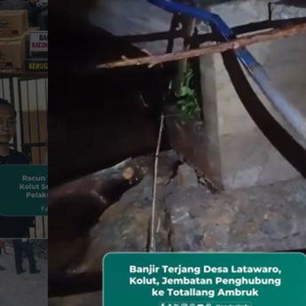 VIDEO: Banjir Bikin Jembatan di Kolaka Utara Ambruk