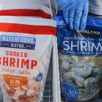 KKP: Ekspor Udang Bebas Cesium Indonesia ke Amerika Capai 1.852 Kontainer 