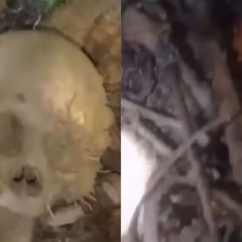 Penemuan Kerangka Manusia Gegerkan Warga Amamotu, Diduga Orang Hilang Setahun yang Lalu