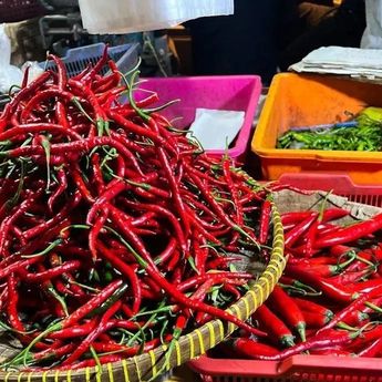 Pramono Optimistis Harga Cabai di Jakarta Stabil dalam 2 Pekan ke Depan