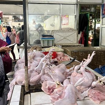 Kementan Pastikan Pasokan Daging, Ayam dan Telur Aman Selama Ramadan