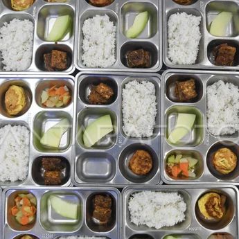 BRIN Ingatkan Pentingnya Mikronutrien dalam Program MBG