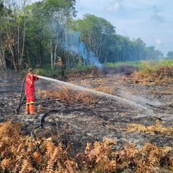 Menhut Targetkan Luas Karhutla 2026 Lebih Rendah dari Tahun Lalu