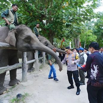 Kapolri dan Titiek Soeharto Tinjau Tesso Nilo, Dorong Pemulihan Habitat Gajah Sumatera
