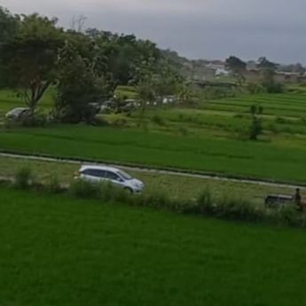 Rombongan Pemudik Nyasar ke Sawah Akibat Google Maps di Sleman