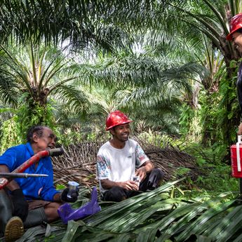 GAPKI Dorong Industri Sawit Wujudkan Kesetaraan bagi Perempuan Pekerja