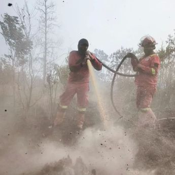 Kemenhut Intensifkan Pemadaman Karhutla di Riau, 265 Operasi Dilakukan