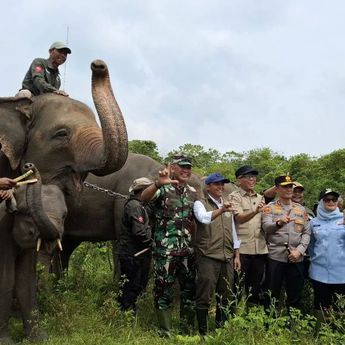 TNWK Jadi Proyek Percontohan Pembiayaan Iklim Inovatif