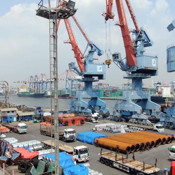 Dermaga ke Dunia: Terminal Kijing dan Peran Strategis PTP Nonpetikemas dalam Menggerakkan Ekonomi Kalimantan Barat