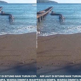 VIDEO: Penampakan Air Laut Naik Turun Pasca Gempa M 7,6 Hantam Sulut