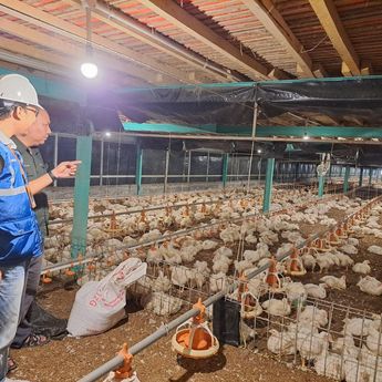 Pemerintah Putuskan Tarif Listrik Triwulan II 2026 Tidak Naik, PLN Siap Jaga Keandalan dan Kualitas Layanan di Tengah Dinamika Global