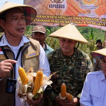 BULOG Perkuat Swasembada Pangan Lewat Panen Raya Jagung di Blora