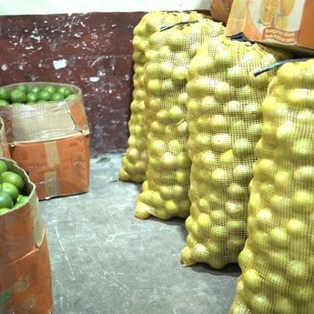 Omzet Pedagang Jeruk di Solo Naik Signifikan Berkat Program MBG