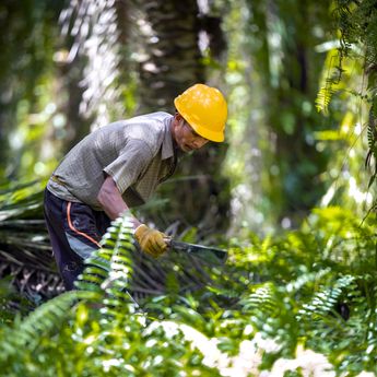 Peran BPDP Dinilai Krusial dalam Pengembangan SDM Sawit Indonesia