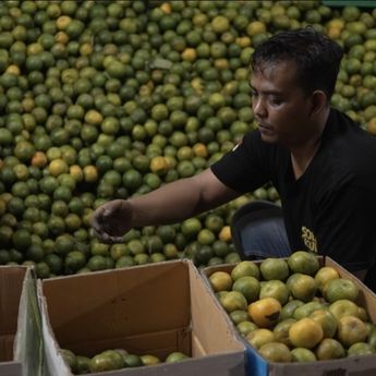 Pedagang Jeruk di Pasar Gede Solo Raup Cuan Sejak Ada MBG, Penjualan 7 Ton Sehari!