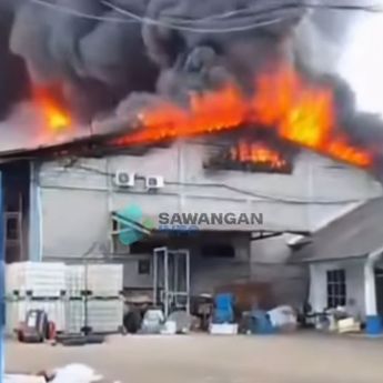Pabrik Kasur di Bogor Kebakaran Hebat