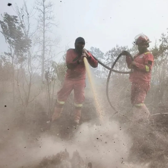 Karhutla di Riau Meluas hingga 3.456 Hektare, BNPB Tingkatkan Penanganan