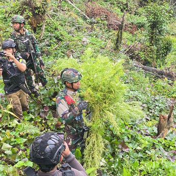 TNI Bongkar Ladang Ganja Siap Panen di Papua