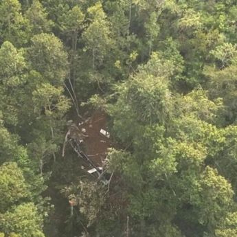 Basarnas Temukan Dugaan Serpihan Helikopter PK-CFX di Kawasan Hutan Sekadau