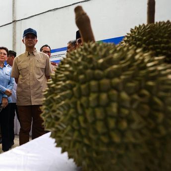 Mentrans Lepas Ekspor 459 Ton Durian Parigi Moutong Senilai Rp42,5 Miliar ke China