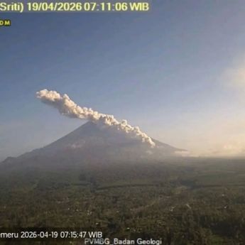 Semeru Kembali Meletus, Awan Panas Capai 4 Kilometer