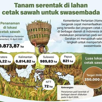 Infografik: Tanam Serentak di Lahan Cetak Sawah, Kementan Kejar Swasembada Beras