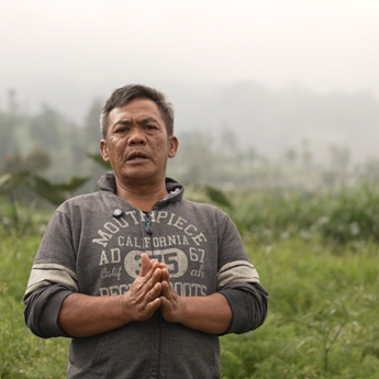 Petani Sayur di Boyolali Tersenyum Berkat MBG, Harga Naik dan Permintaan Meningkat