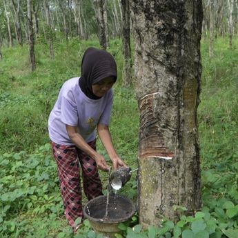 Di Usia 70 Tahun, Nenek Samini Berharap Sekolah Rakyat Jadi Jalan Cucunya Keluar dari Kemiskinan