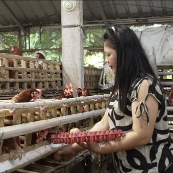MBG Gerakkan Ekonomi Mikro, Peternak Telur Rumahan Rasakan Manfaat Nyata