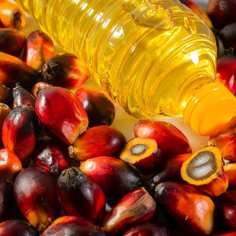 Kenaikan Energi Picu Plastik Mahal, Minyak Goreng Ikut Terimbas