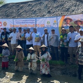 Forum Jupnas Gizi Dukung Penanaman 1.500 Hektare Padi Unggul di Carita Banten