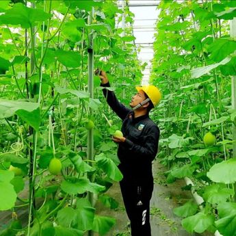 Bukan Energi Listrik Saja, Begini Cara Pertamina Dorong Pemanfaatan Panas Bumi untuk Perekonomian Rakyat