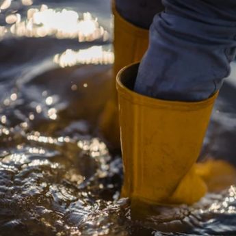 12 RT di Jaksel Terendam Banjir Usai Diguyur Hujan Deras