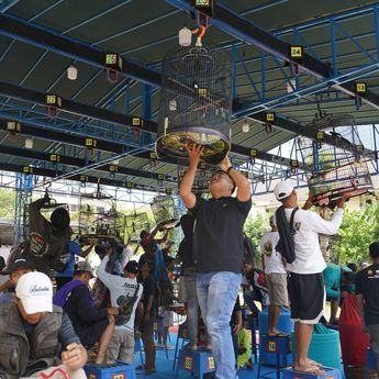 Kicau Mania!!! Industri Burung Kicau Bernilai Fantastis Tembus Rp2 T per Tahun