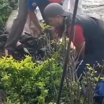 Pendaki Gunung Gede Tewas Tertabrak Truk Tak Kuat Nanjak