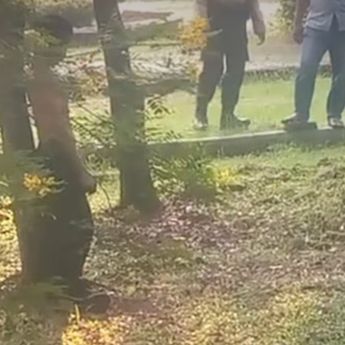 Asyik Nyapu Jalan, PPSU Temukan Pria Gantung Diri di Taman Klender