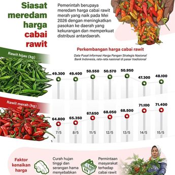 Infografik: Pemerintah Perkuat Distribusi untuk Redam Harga Cabai Rawit