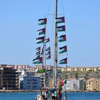 Adik Presiden Irlandia Ditangkap Israel dalam Misi Kemanusiaan ke Gaza