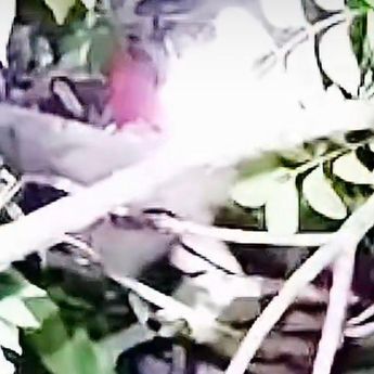 Kecelakaan Maut di Cianjur pada Malam Jumat, Korban Mengenaskan