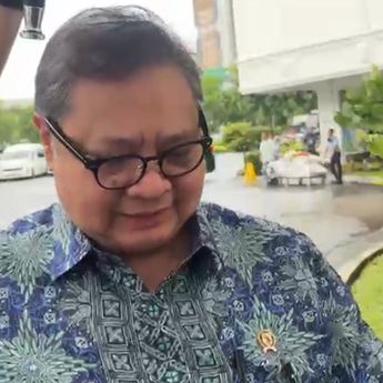 Menko Airlangga Sebut Asosiasi Batu Bara hingga Sawit Sambut Positif Pembentukan DSI