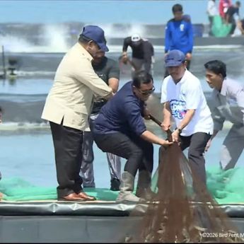 Presiden Prabowo Panen Raya Udang di Kebumen