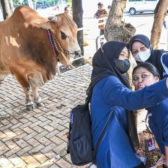 Menag: Idul Adha Jadi Momentum Berbagi dan Wujud Kepedulian Lintas Agama